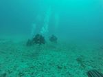 Hawaii Scuba divng 81