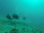 Hawaii Scuba divng 82