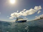 Hawaii Scuba divng 83