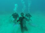 Hawaii Scuba divng 86