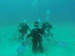 Hawaii Scuba divng 87