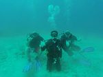 Hawaii Scuba divng 88