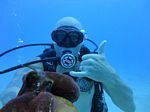 Honolulu Scuba 13