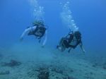 Hawaii Scuba divng 12