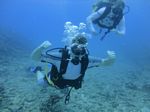 Hawaii Scuba divng 13