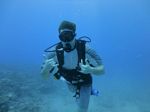 Hawaii Scuba divng 14