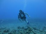Hawaii Scuba divng 17