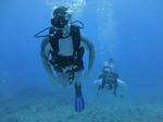 Hawaii Scuba divng 18