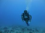 Hawaii Scuba divng 19