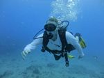 Hawaii Scuba divng 20