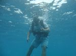 Hawaii Scuba divng 22