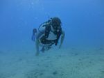 Hawaii Scuba divng 28