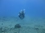 Hawaii Scuba divng 29