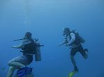 Hawaii Scuba divng 37