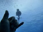 Hawaii Scuba divng 03