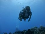 Hawaii Scuba divng 43