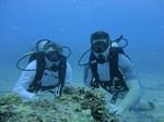 Hawaii Scuba divng 46