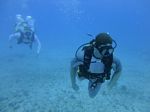 Hawaii Scuba divng 48