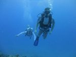 Hawaii Scuba divng 49