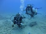 Hawaii Scuba divng 11