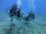 Hawaii Scuba divng 12