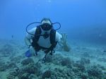 Hawaii Scuba divng 14