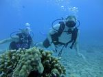 Hawaii Scuba divng 15