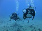 Hawaii Scuba divng 18