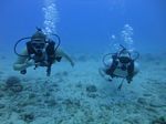 Hawaii Scuba divng 19