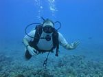 Hawaii Scuba divng 21