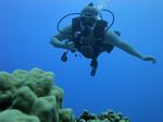 Hawaii Scuba divng 22