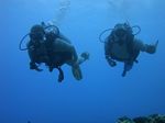 Hawaii Scuba divng 23