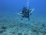 Hawaii Scuba divng 25