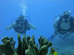 Hawaii Scuba divng 26