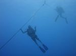 Hawaii Scuba divng 29