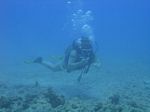 Hawaii Scuba divng 33