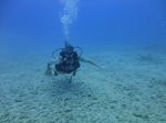 Hawaii Scuba divng 34