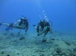 Hawaii Scuba divng 49