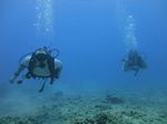 Hawaii Scuba divng 51