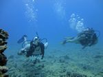 Hawaii Scuba divng 51