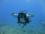 Hawaii Scuba divng 59