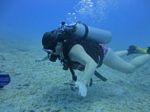 Hawaii Scuba divng 62