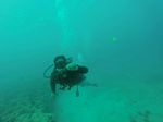 Hawaii Scuba divng 11