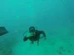 Hawaii Scuba divng 12