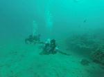 Hawaii Scuba divng 18