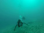 Hawaii Scuba divng 22