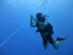 Hawaii Scuba divng 12