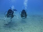 Hawaii Scuba divng 15