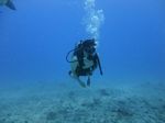 Hawaii Scuba divng 16