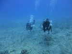 Hawaii Scuba divng 18